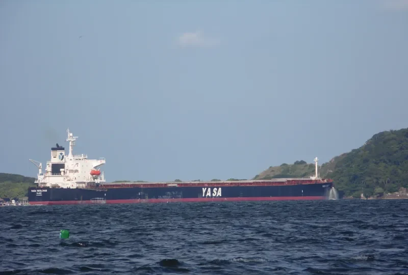 YASA NESLIHAN Bulk Carrier IMO 9286566 photo 9