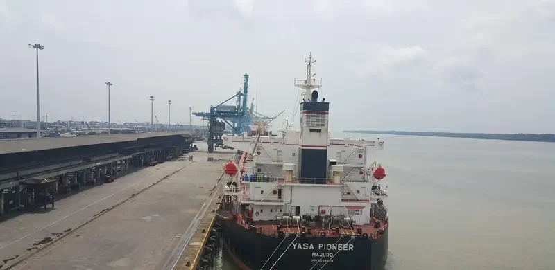 YASA PIONEER Bulk Carrier IMO 9286578