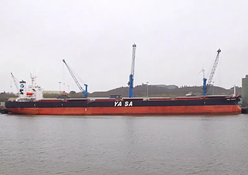 YASA PIONEER Bulk Carrier IMO 9286578 photo 9