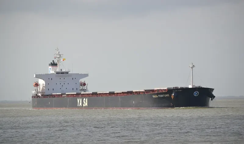 YASA FORTUNE Bulk Carrier IMO 9286580 photo 2