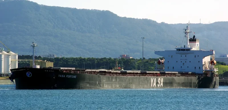 YASA FORTUNE Bulk Carrier IMO 9286580 photo 4