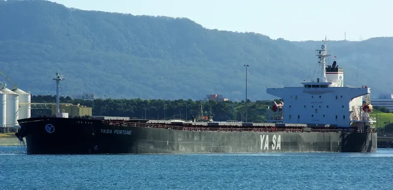 YASA FORTUNE Bulk Carrier IMO 9286580 photo 7