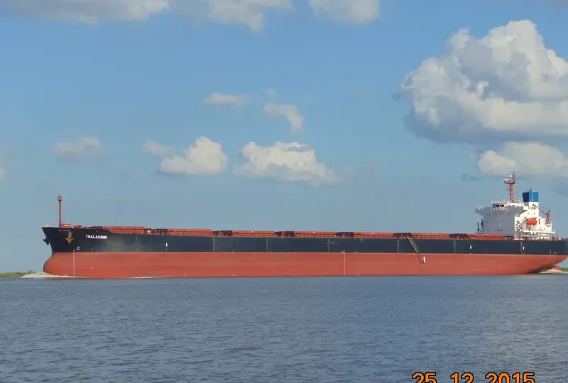 THALASSINI Bulk Carrier IMO 9286592 photo 2