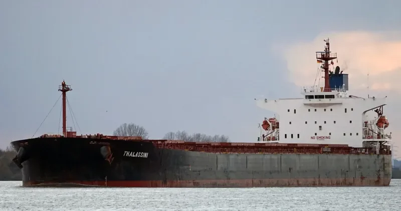 THALASSINI Bulk Carrier IMO 9286592 photo 7