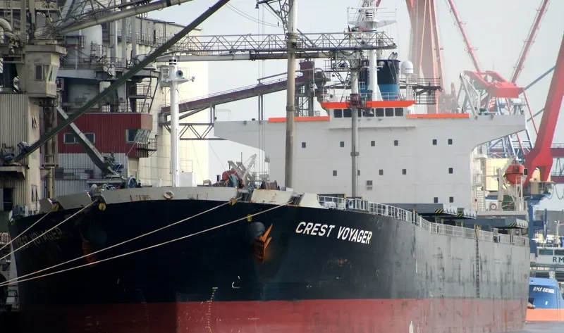 OCEAN DOMINA Bulk Carrier IMO 9286619 photo 2