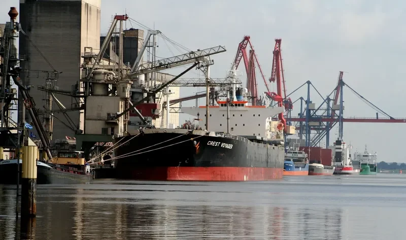 OCEAN DOMINA Bulk Carrier IMO 9286619 photo 3