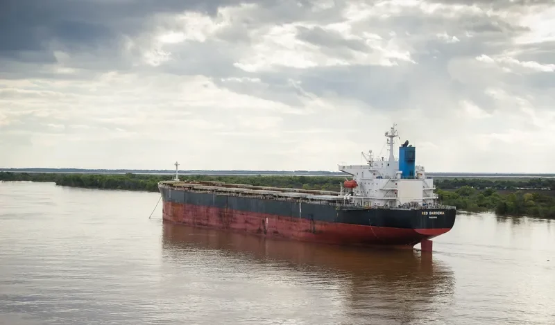 TRAMP LADY Bulk Carrier IMO 9286621
