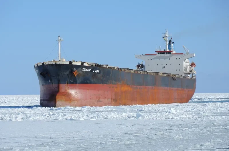 TRAMP LADY Bulk Carrier IMO 9286621 photo 2