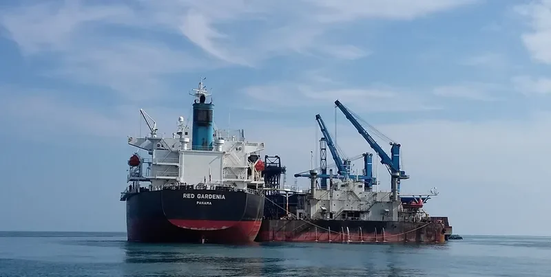 TRAMP LADY Bulk Carrier IMO 9286621 photo 3
