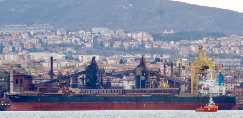TRAMP LADY Bulk Carrier IMO 9286621 photo 4