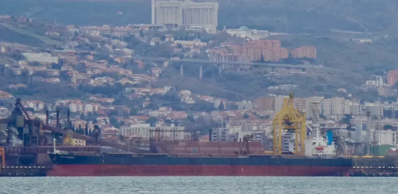 TRAMP LADY Bulk Carrier IMO 9286621 photo 5