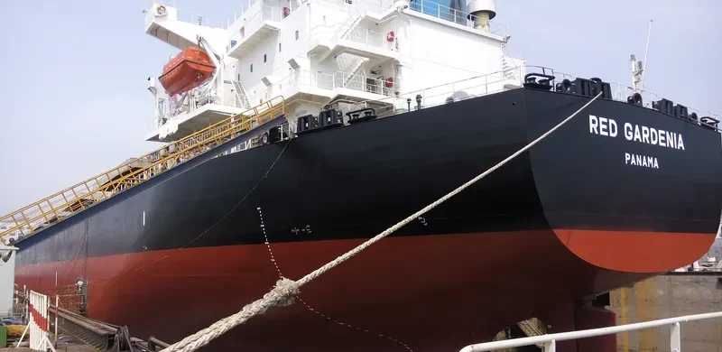 TRAMP LADY Bulk Carrier IMO 9286621 photo 6