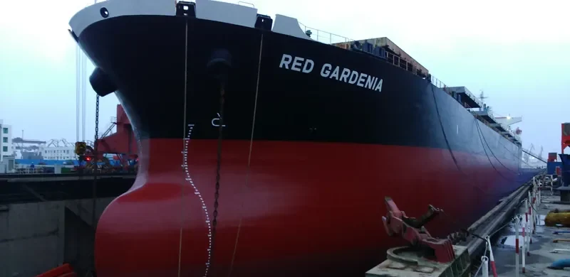TRAMP LADY Bulk Carrier IMO 9286621 photo 7