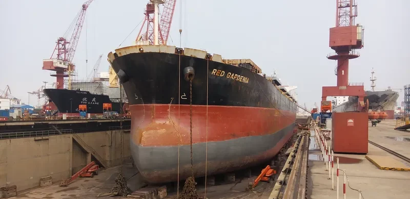 TRAMP LADY Bulk Carrier IMO 9286621 photo 8
