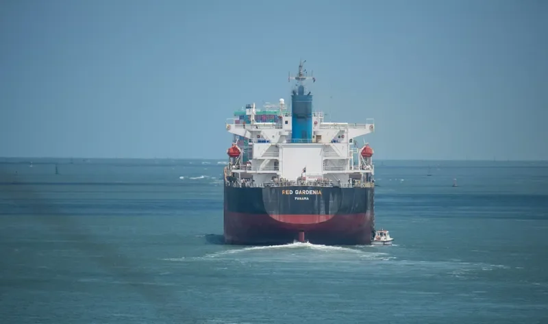 TRAMP LADY Bulk Carrier IMO 9286621 photo 9