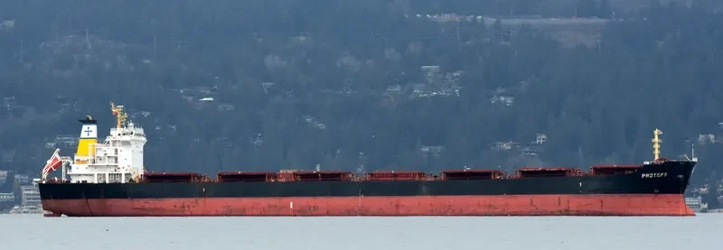 PROTEFS Bulk Carrier IMO 9286633 photo 6
