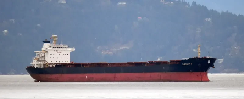 PROTEFS Bulk Carrier IMO 9286633 photo 7