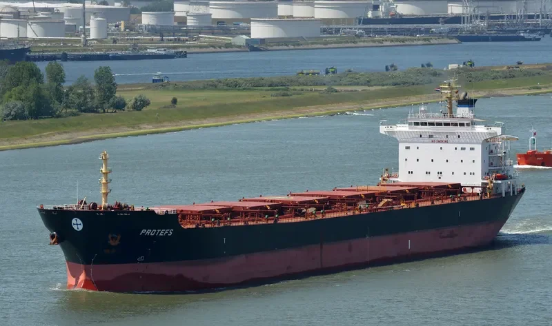 PROTEFS Bulk Carrier IMO 9286633 photo 8