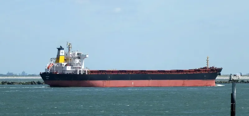 PROTEFS Bulk Carrier IMO 9286633 photo 9