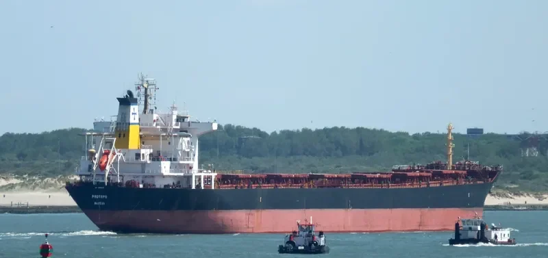 PROTEFS Bulk Carrier IMO 9286633 photo 10