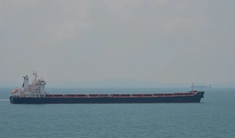 WOOYANG BANDERS Bulk Carrier IMO 9286645 photo 2