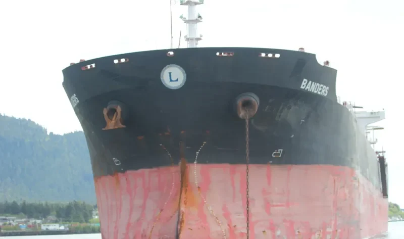 WOOYANG BANDERS Bulk Carrier IMO 9286645 photo 3