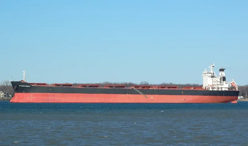 WOOYANG BANDERS Bulk Carrier IMO 9286645 photo 4