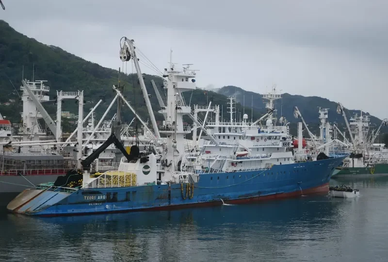 TXORI ARGI General Cargo IMO 9286724