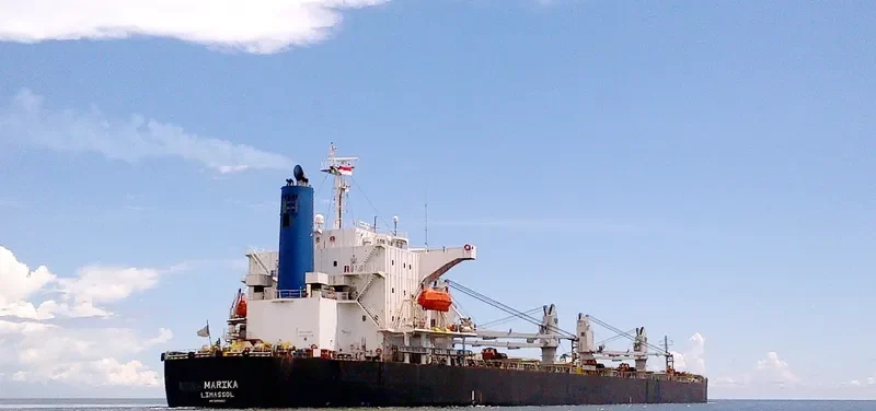 PEONY LAUT Bulk Carrier IMO 9286853 photo 2