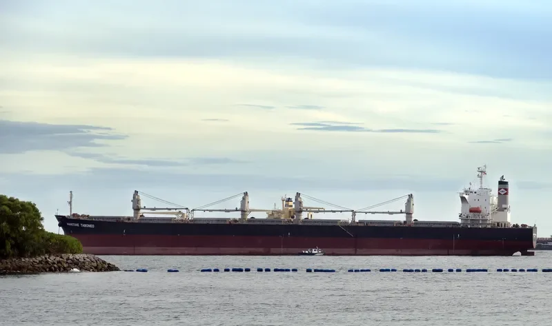 PEONY LAUT Bulk Carrier IMO 9286853 photo 3