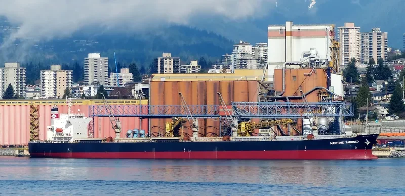 PEONY LAUT Bulk Carrier IMO 9286853 photo 4