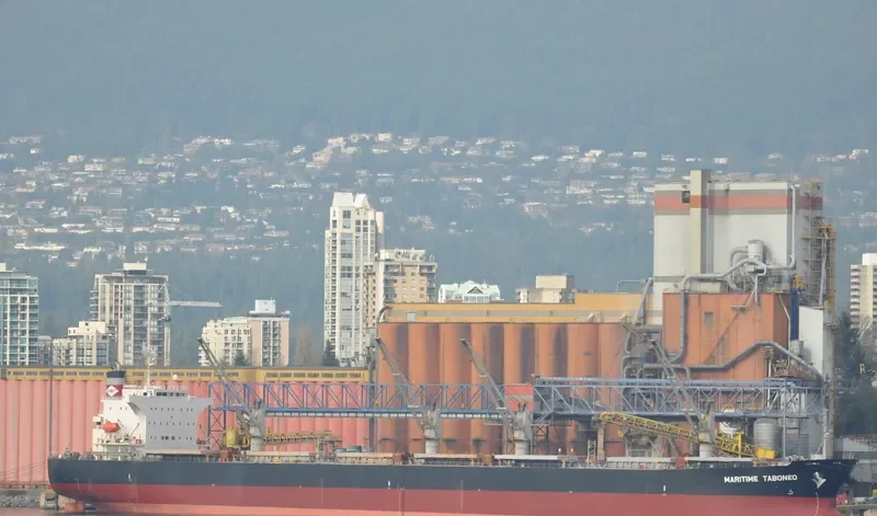PEONY LAUT Bulk Carrier IMO 9286853 photo 6