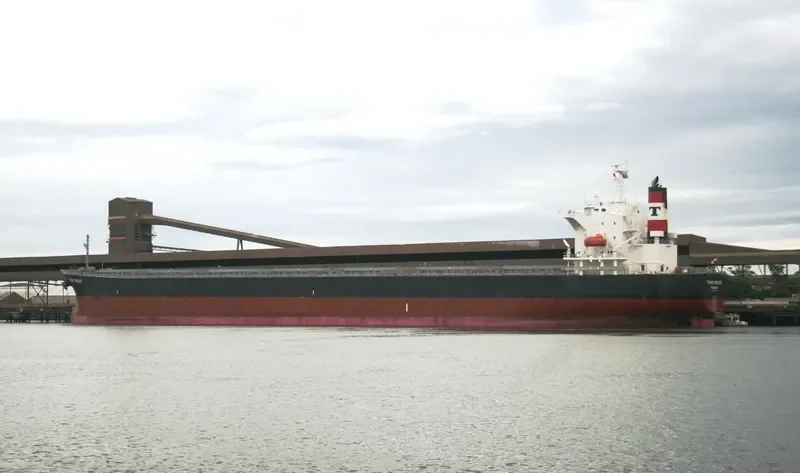 PEONY LAUT Bulk Carrier IMO 9286853 photo 8