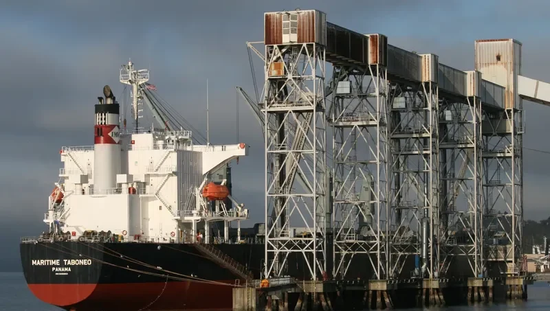 PEONY LAUT Bulk Carrier IMO 9286853 photo 9