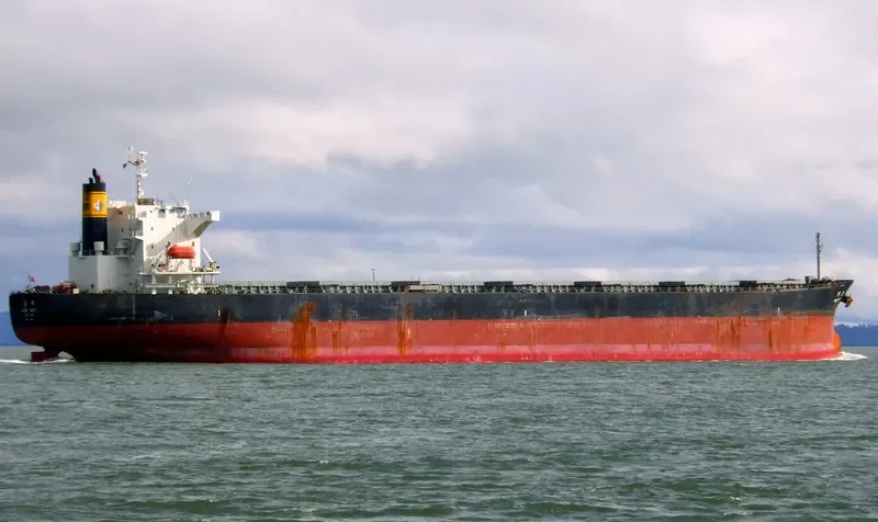 CHAILEASE GLORY Bulk Carrier IMO 9286889 photo 7