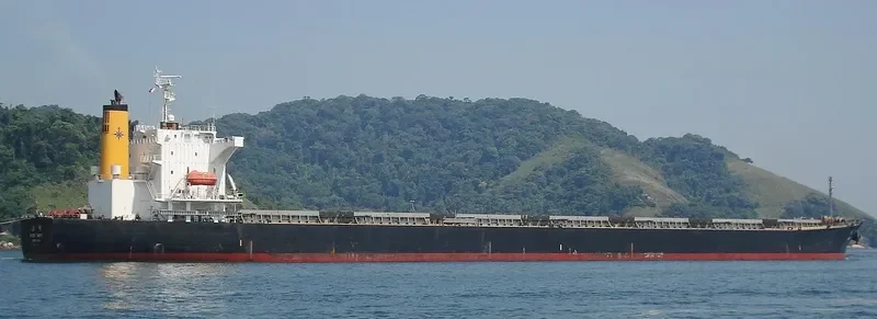 CHAILEASE GLORY Bulk Carrier IMO 9286889 photo 9