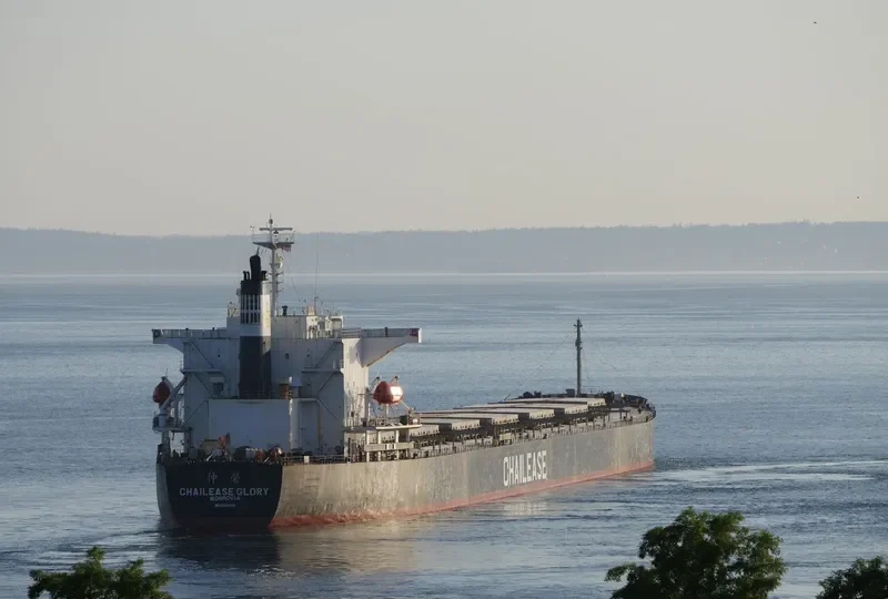 CHAILEASE GLORY Bulk Carrier IMO 9286889 photo 10