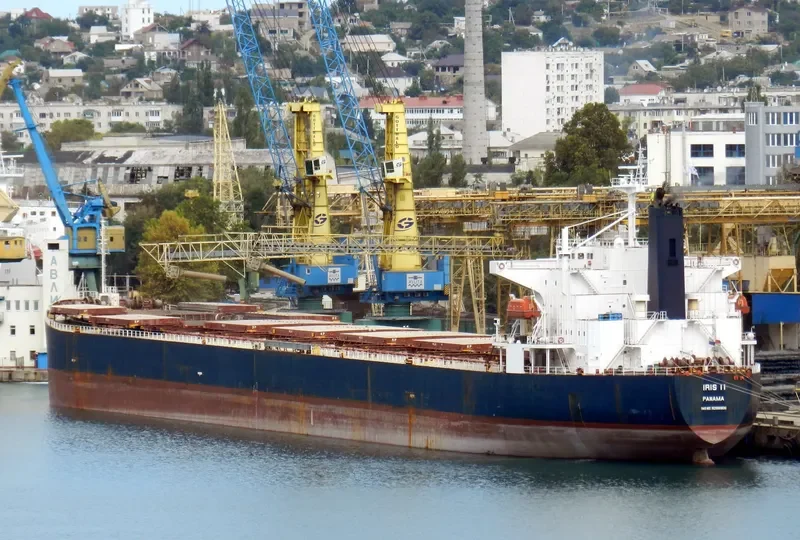 NAVIOS ANTHOS Bulk Carrier IMO 9286906