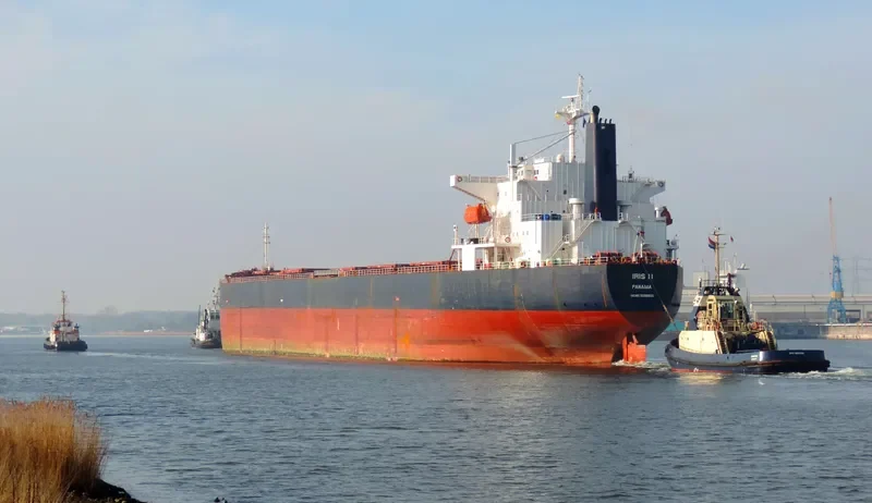 NAVIOS ANTHOS Bulk Carrier IMO 9286906 photo 3