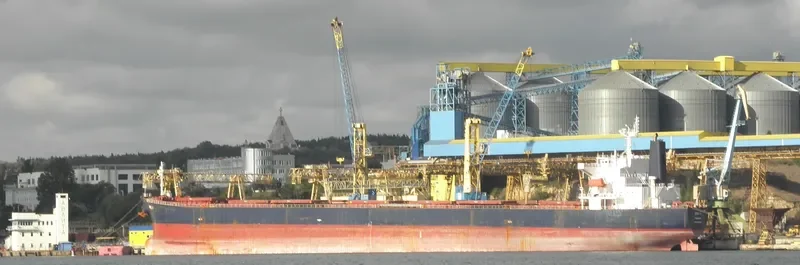 NAVIOS ANTHOS Bulk Carrier IMO 9286906 photo 8