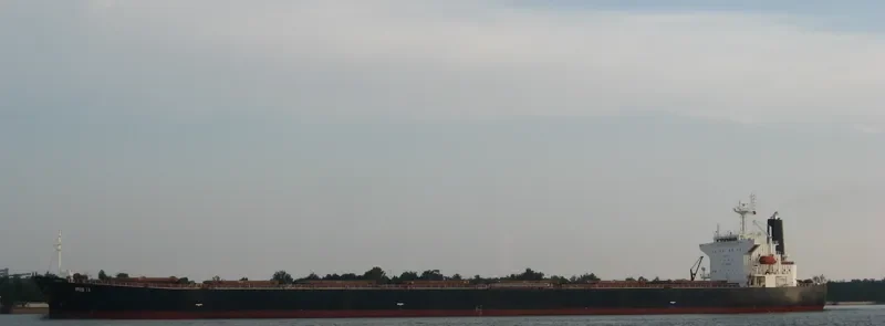 NAVIOS ANTHOS Bulk Carrier IMO 9286906 photo 9