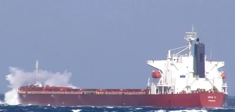 NAVIOS ANTHOS Bulk Carrier IMO 9286906 photo 10