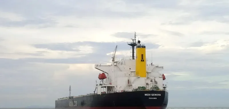YIN XING HU Bulk Carrier IMO 9286918