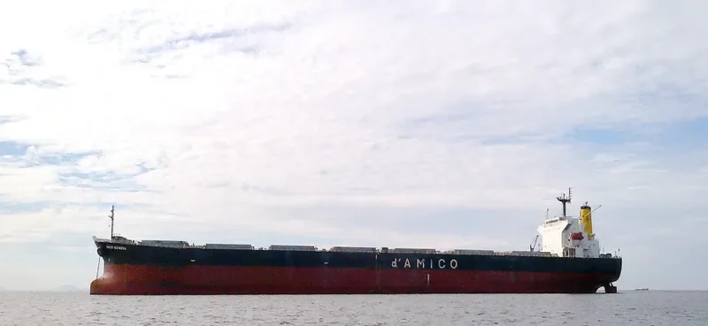 YIN XING HU Bulk Carrier IMO 9286918 photo 2