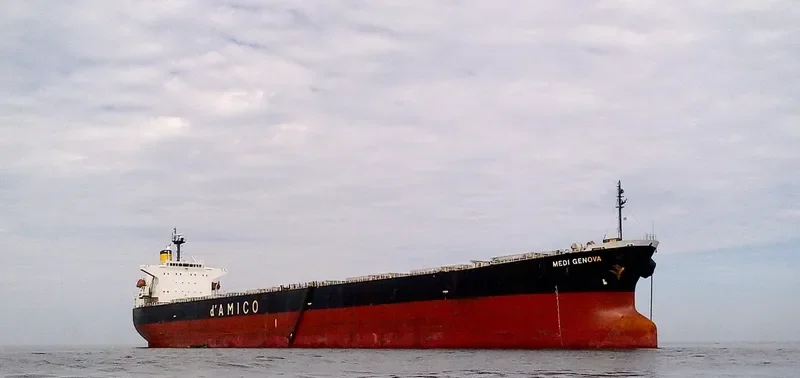 YIN XING HU Bulk Carrier IMO 9286918 photo 3