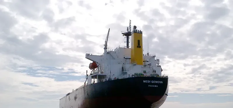 YIN XING HU Bulk Carrier IMO 9286918 photo 4