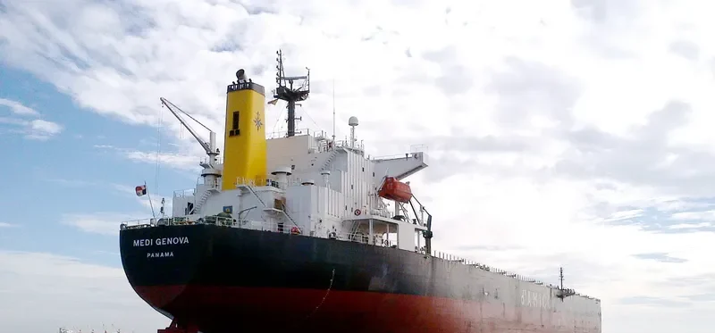 YIN XING HU Bulk Carrier IMO 9286918 photo 5