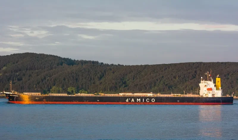 YIN XING HU Bulk Carrier IMO 9286918 photo 6