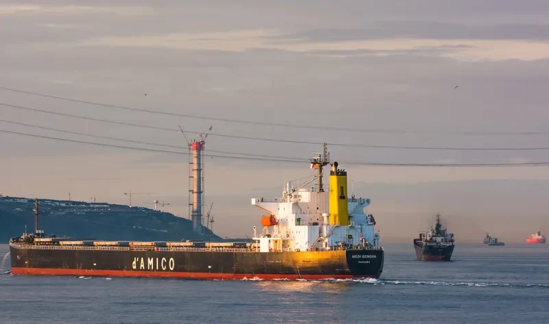 YIN XING HU Bulk Carrier IMO 9286918 photo 7