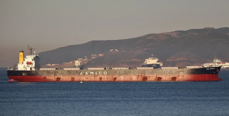 YIN XING HU Bulk Carrier IMO 9286918 photo 9